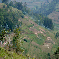 Photo de Rwanda - Lac Burera
